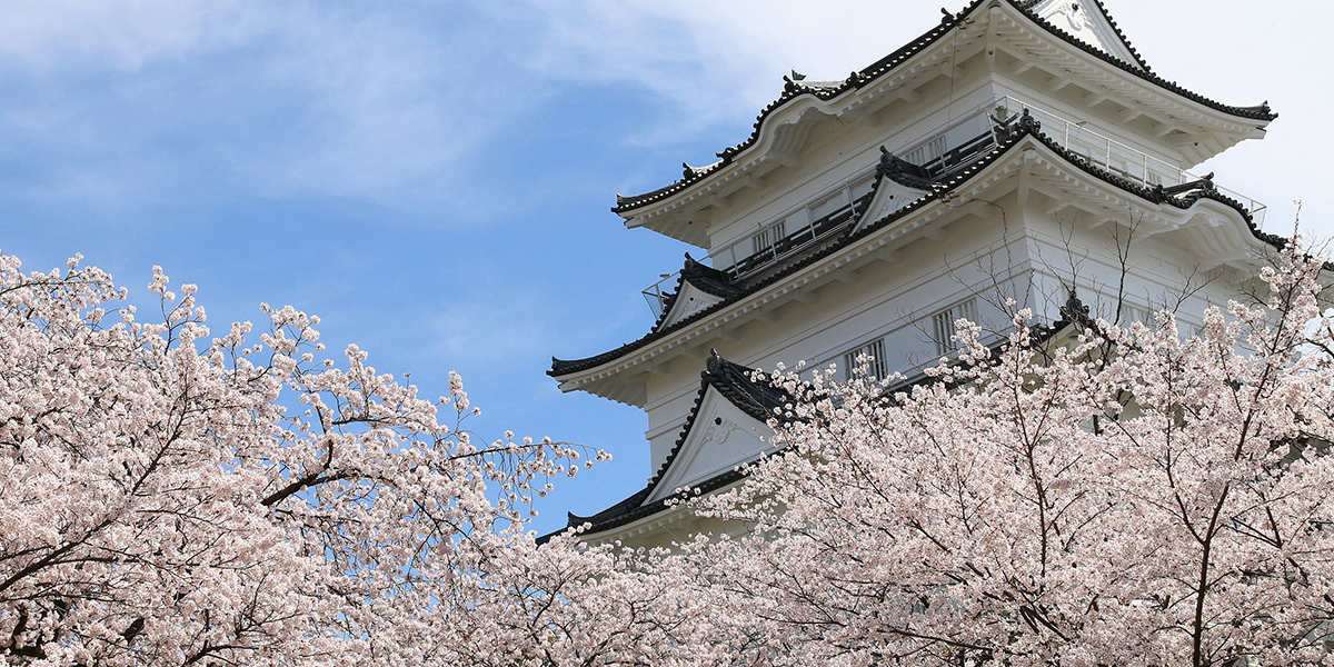 関東のお花見 桜名所ランキング 22年最新 人気の夜桜や桜祭り