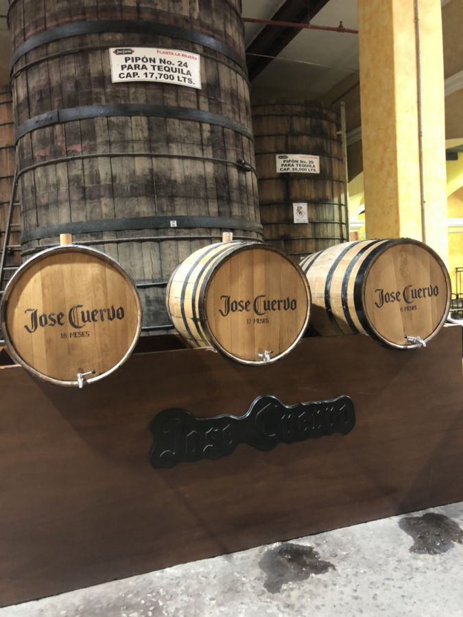 テキーラの蒸留所も訪問