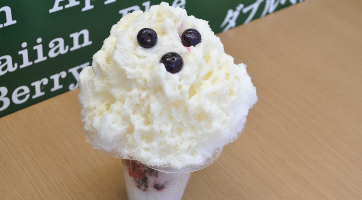 鹿児島／白熊／かき氷