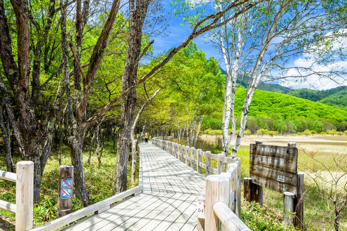 Go To 国立公園”日本でおすすめの国立公園8選！三密を避けて