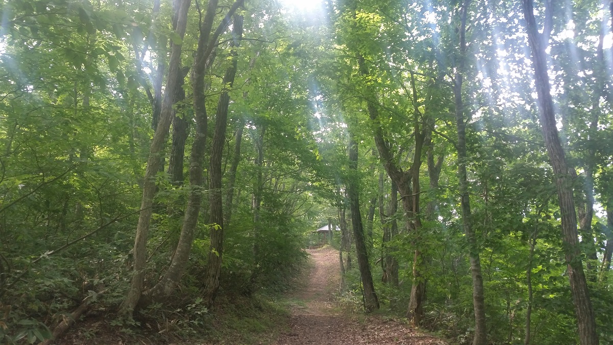 松尾芭蕉の時代にタイムスリップした気分⁈