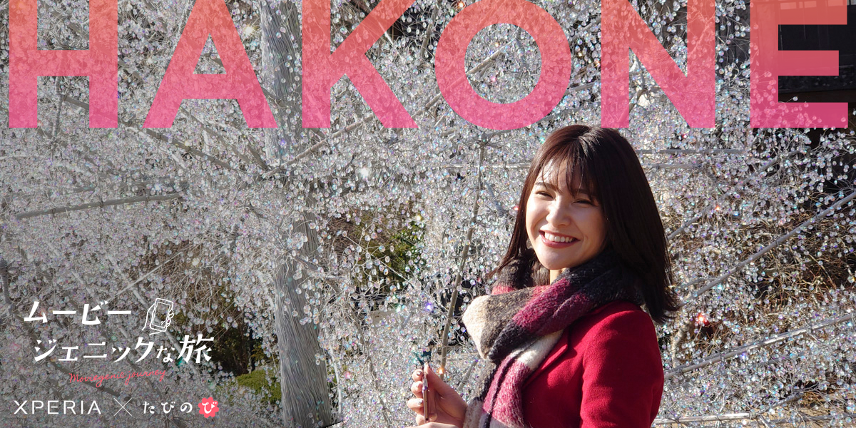 美術と自然を満喫！心を満たす箱根の癒し旅。