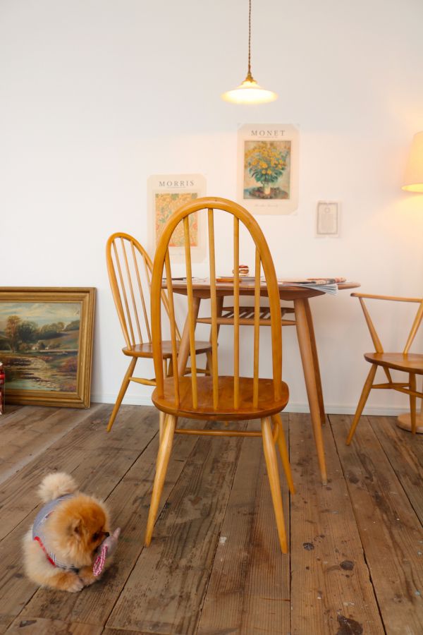 ※ワンコはいつもいるわけではありません