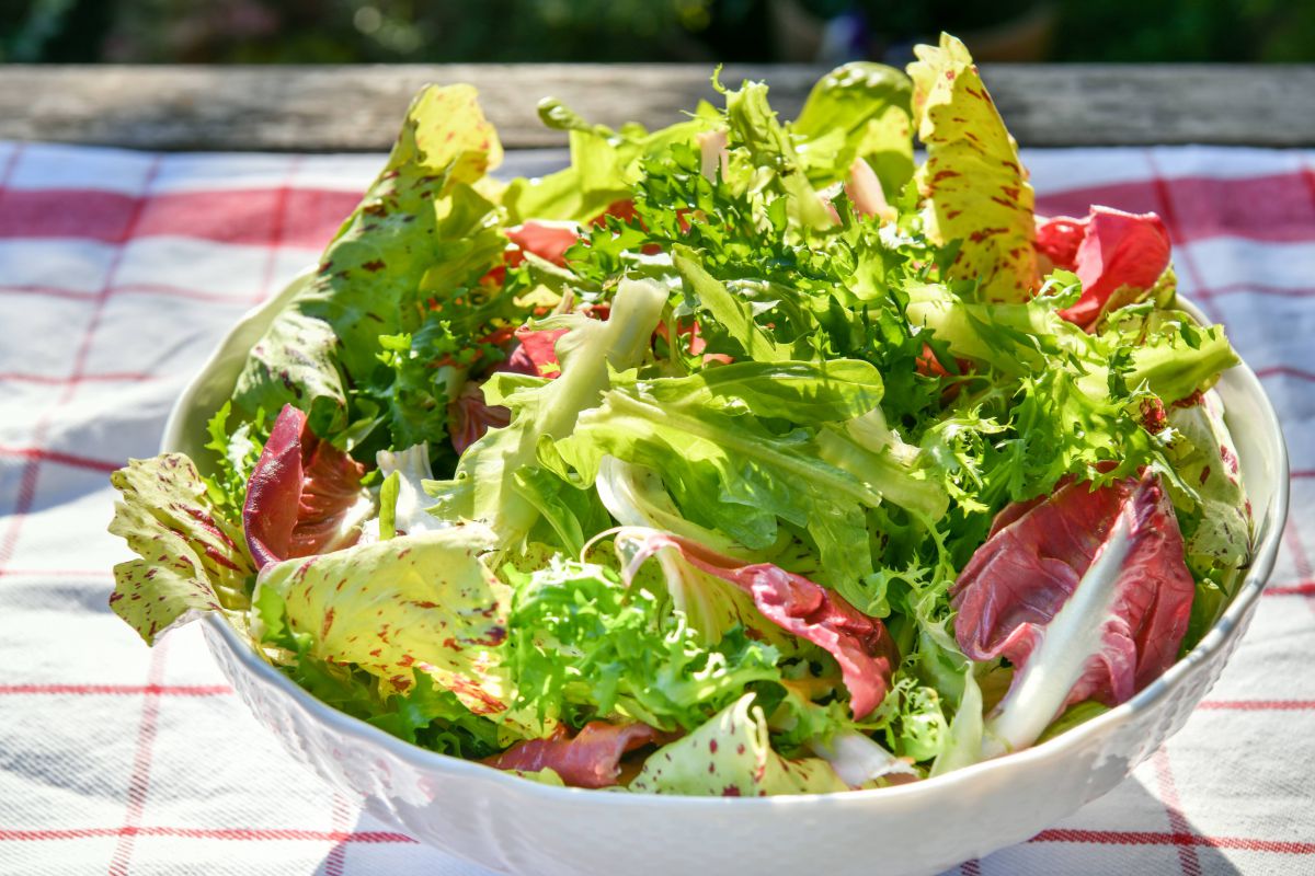 福岡県の『テヌータカンピフレグレイ農園』の採れたてナポリ野菜。季節ごとの野菜をおまかせで。