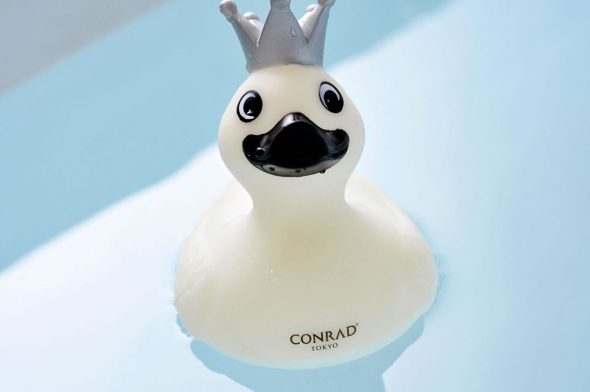 コンラッドダック