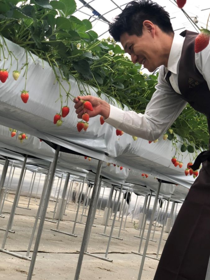 「おいしいフルーツのためなら一切妥協はしません！」総料理長の岡田さん