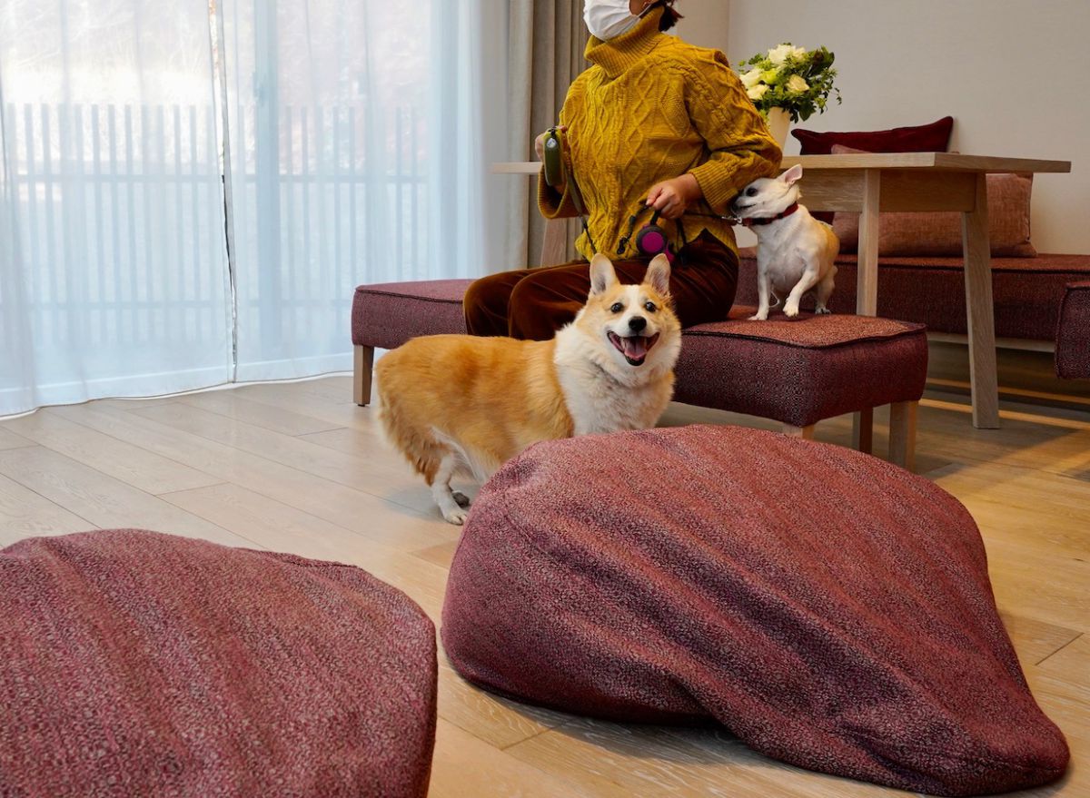 人間もワンちゃんも自宅のようにくつろげる工夫が散りばめられていました。写真はリビングルーム