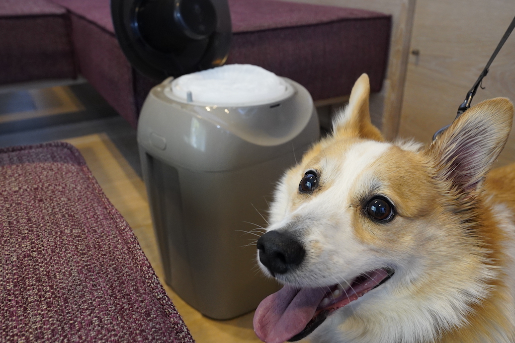 「これならニオイも気にならないから快適だワン」