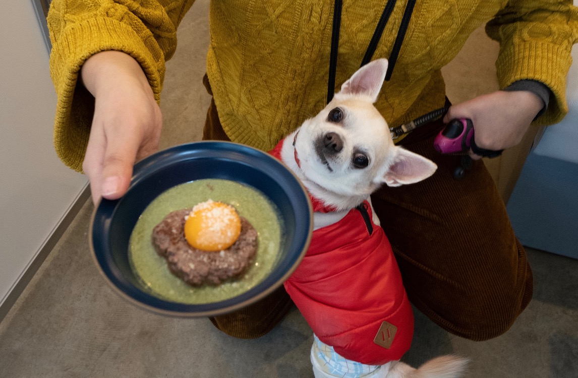 「すごいのキター！」