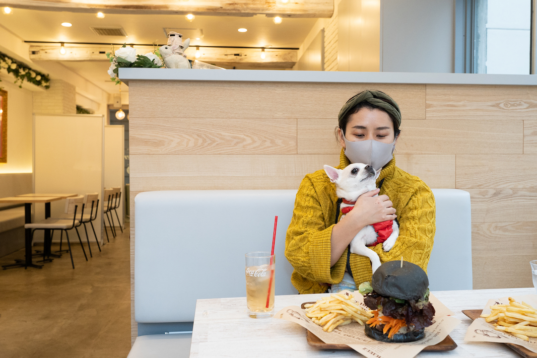 小型犬なら、店内のソファで抱っこも余裕！