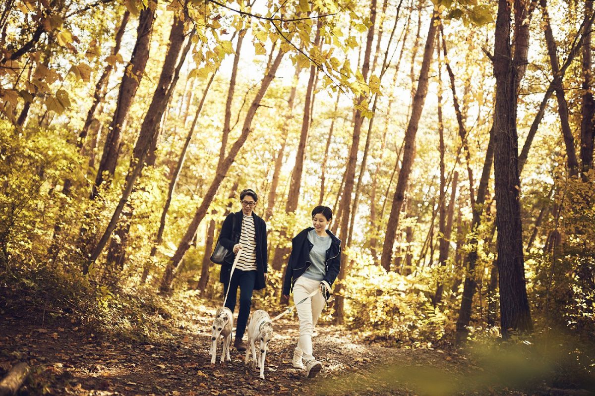 ワンちゃんとのお散歩コースも充実。小型犬ならピーマン通りを、大型犬なら隣接する森の中を歩くのがオススメ！