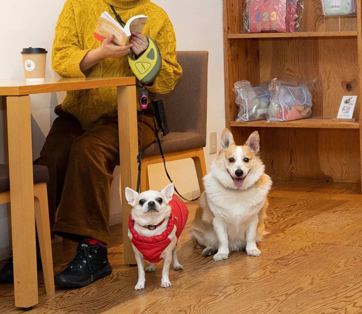 「また一緒に来たいワン！」。二匹の楽しそうな姿を見ることができて、ママ（筆者）はとっても幸せだったよ〜！