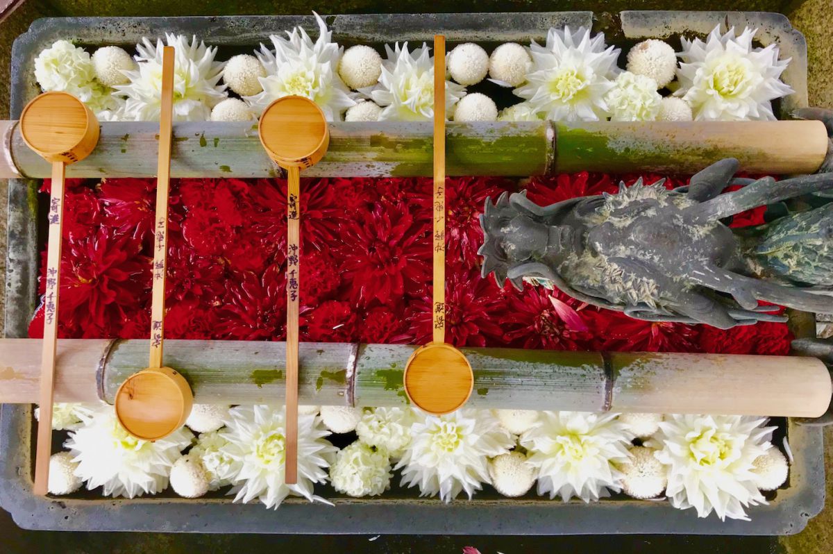 京都・長岡京市おすすめのお花見スポット3選！花手水や真っ赤なツツジで春を満喫です♪