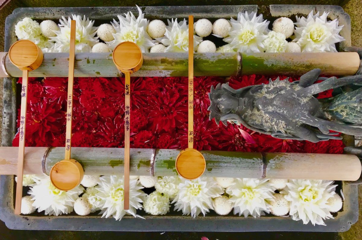 ※画像はイメージ。龍手水に浮かべる花はテーマ等により毎回異なります。