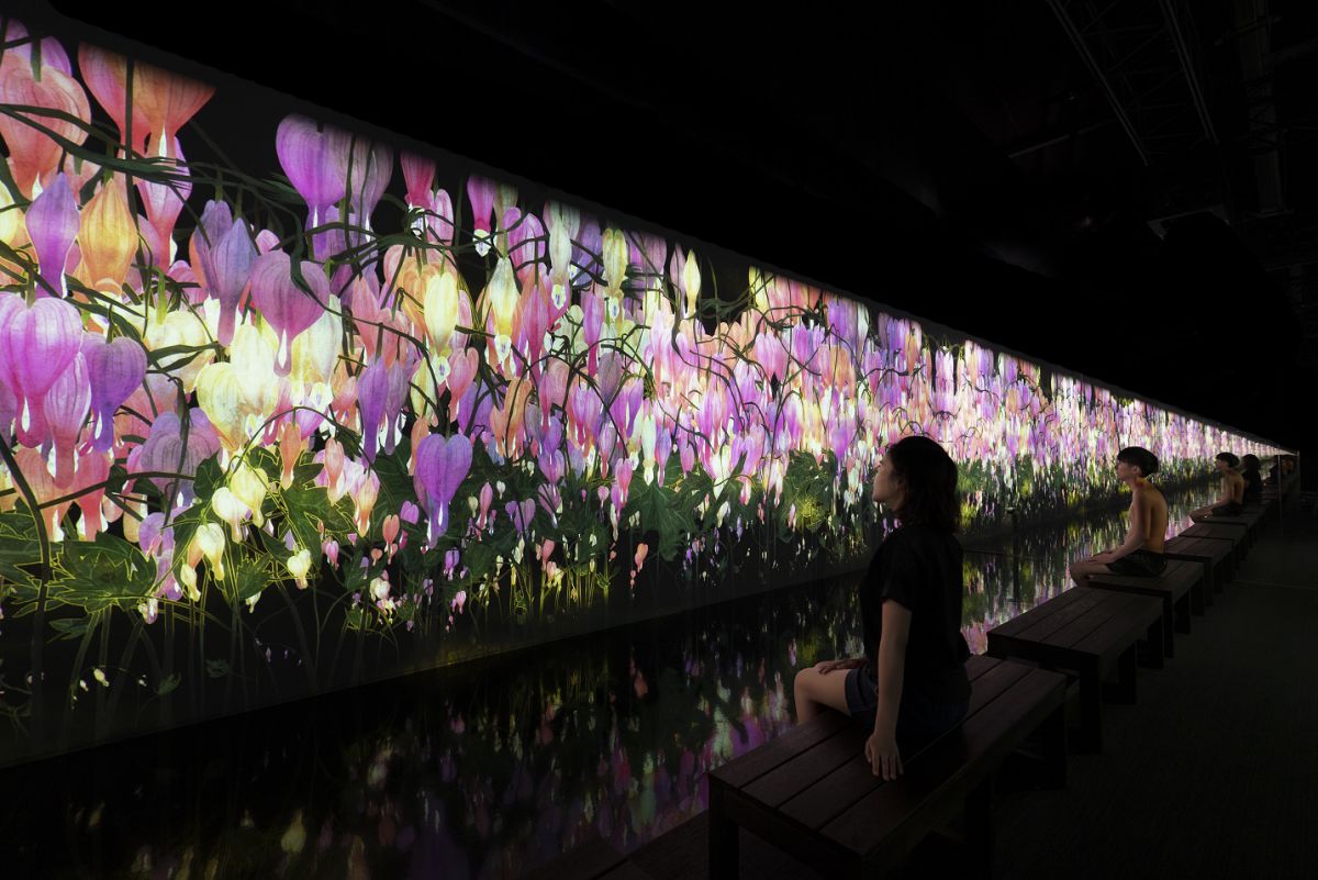 「降り注ぐ雨の中で増殖する無量の生命 - A Whole Year per Year / Proliferating Immense Life in the Rain - A Whole Year per Year」 teamLab, 2020, Interactive Digital Installation, Sound: Hideaki Takahashi © チームラボ
