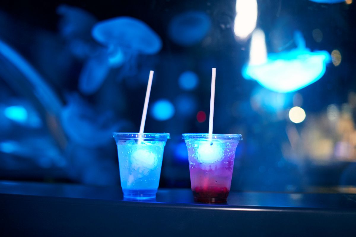 「京都水族館」で京都の夜の通な楽しみ方を。幻想的な空間でいきものたちと過ごす「夜のすいぞくかん」