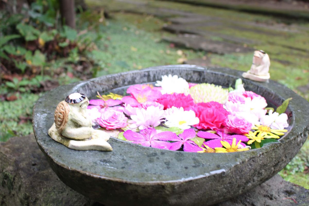 カラフルなお花を囲んで座るかっぱたち。写真に収めたい可愛さです！