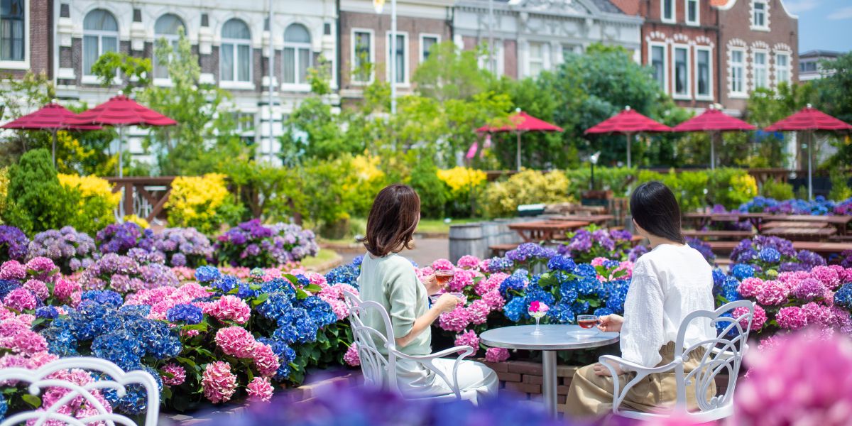 ハウステンボスで「あじさい祭り」開催！異国情緒溢れる空間を日本最多の1250品種で彩る