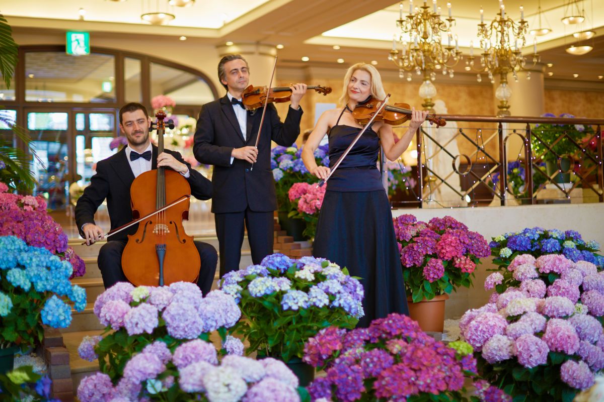 場所：ホテルヨーロッパ　※イメージ