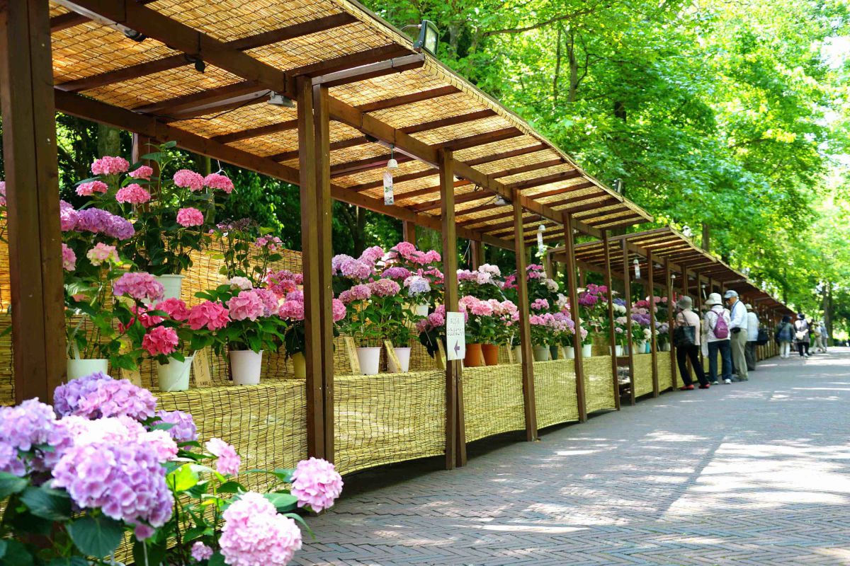 場所：パレス  ハウステンボス前参道