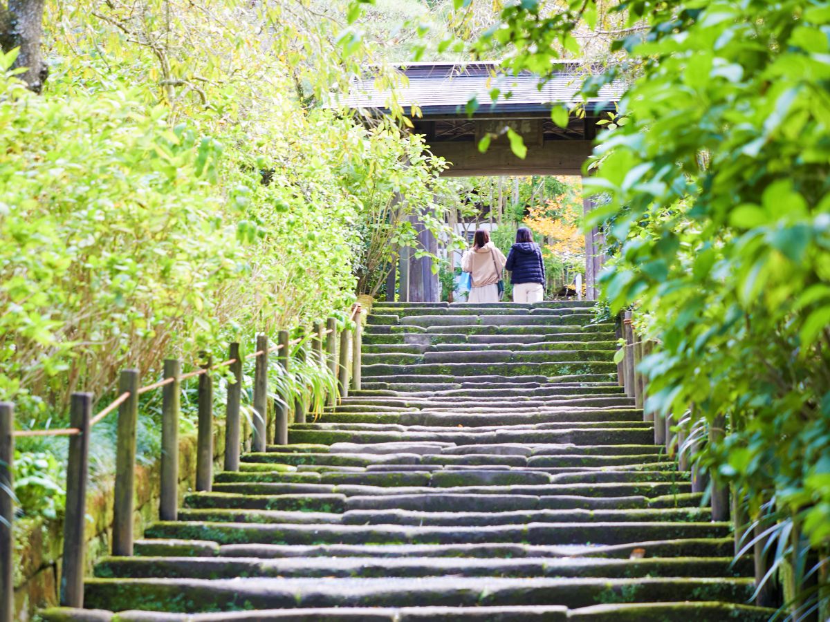 お抹茶を満喫したあとは、緩やかな階段の参道をのぼり山門をくぐって本堂へ