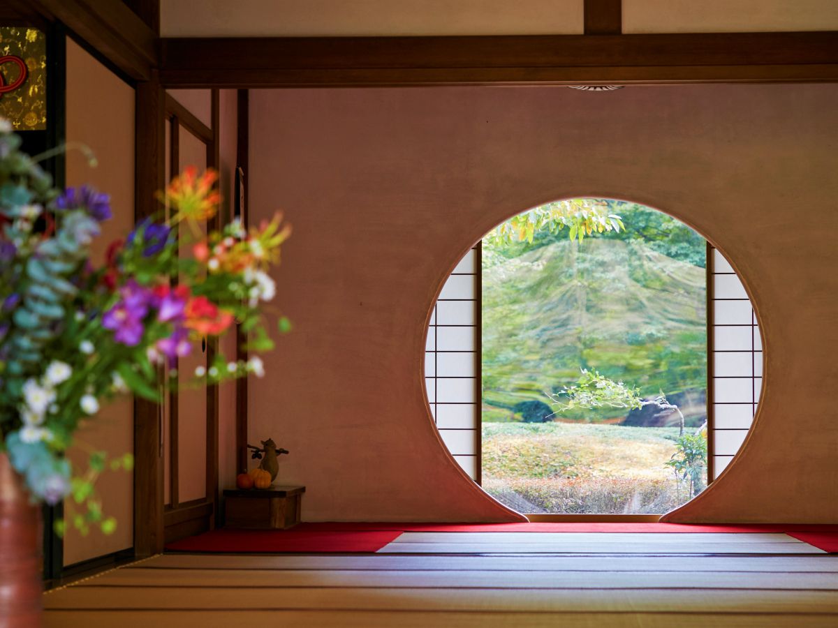 本堂後庭園は6月の花菖蒲と12月の紅葉の季節のみ特別公開されます