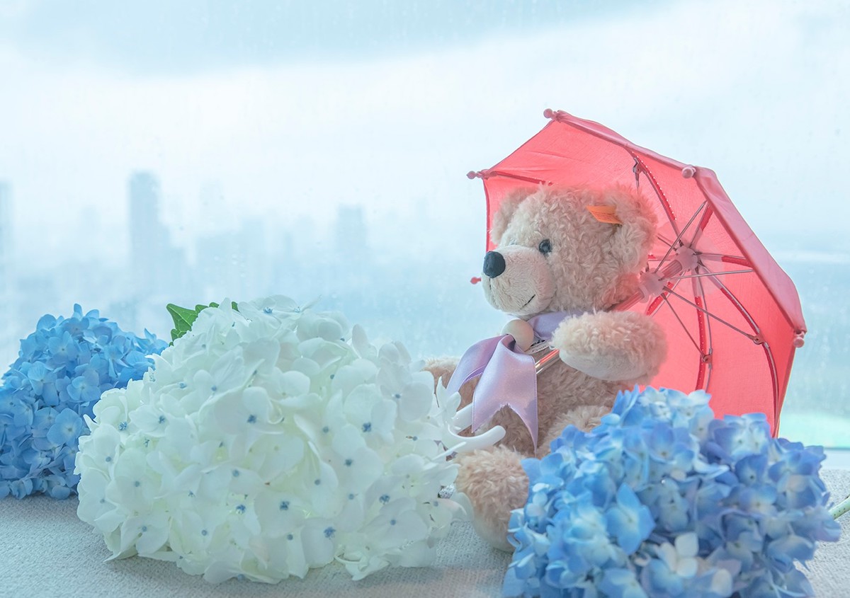 テディベア イメージ（ザ・プリンスギャラリー 東京紀尾井町）