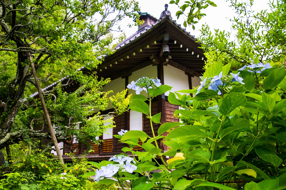 画像提供：PIXTA