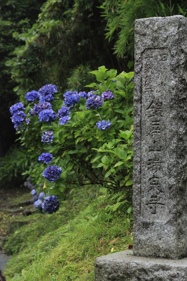 画像提供：PIXTA