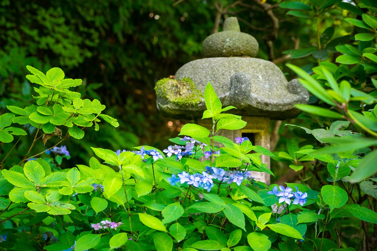 画像提供：PIXTA