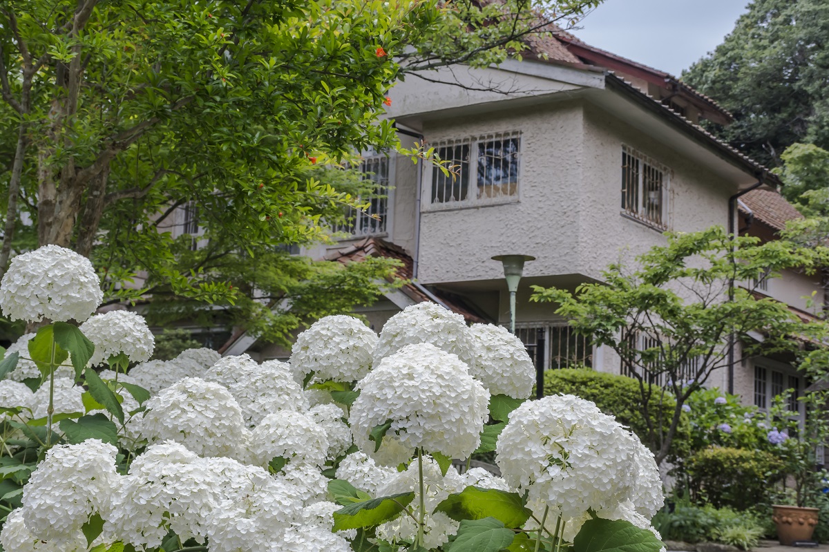 画像提供：PIXTA