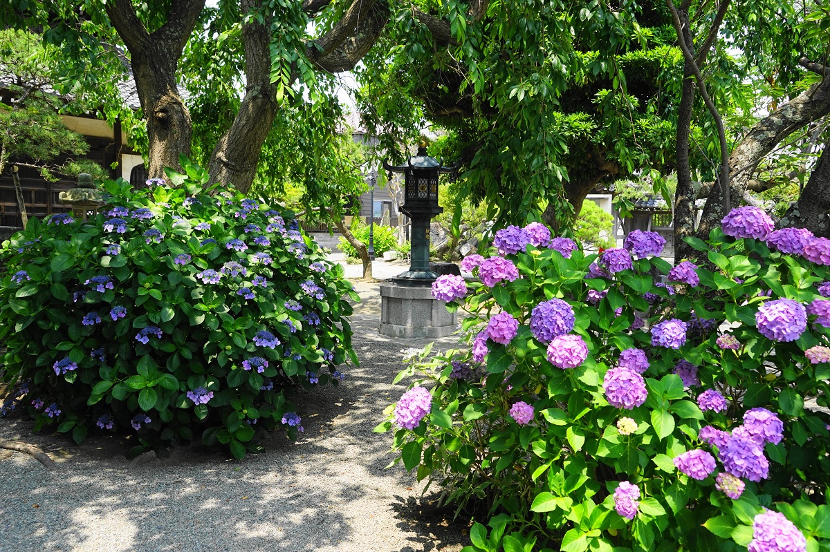 画像提供：PIXTA