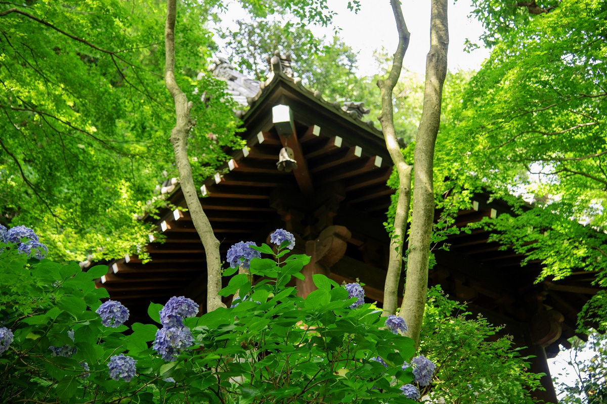 画像提供：PIXTA