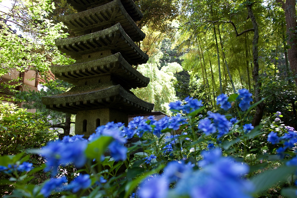 画像提供：PIXTA