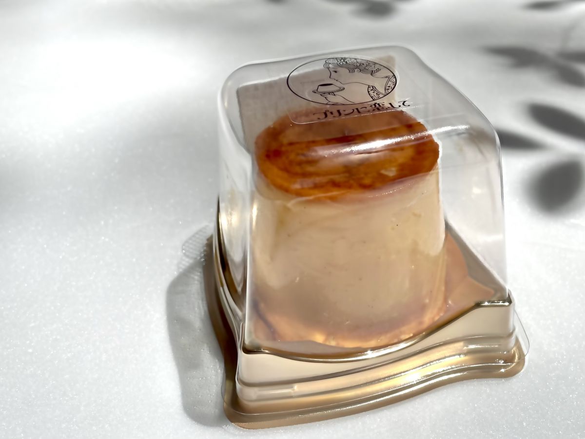 「レトロプリン（大）（240g）」500円（税込）