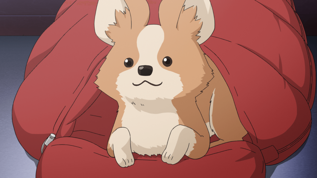 &copy;あfろ・芳文社／野外活動委員会