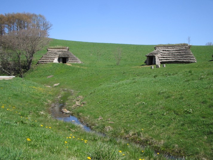 北黄金貝塚　復元された竪穴建物と湧き水
