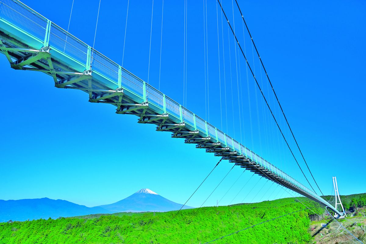 きれいな富士山を見られる確率が高いのは午前中