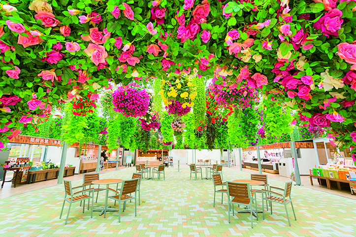 伊豆みやげが揃うショップ「スカイガーデン」