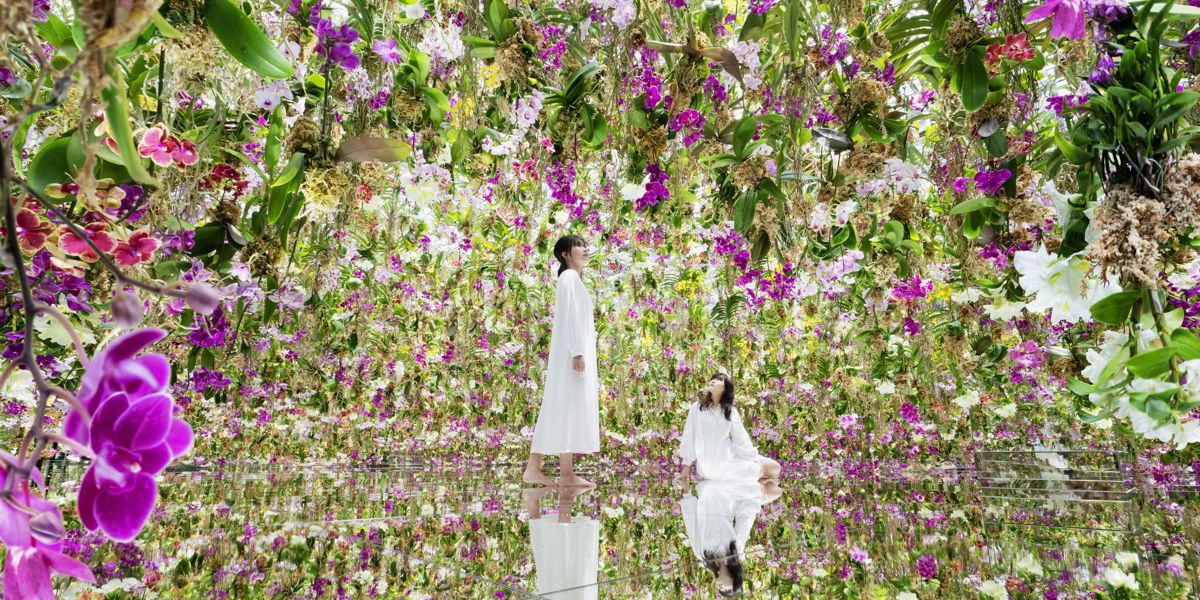 東京・豊洲「チームラボプラネッツ」に新エリア登場！1万3000株以上の花々に囲まれる体験を