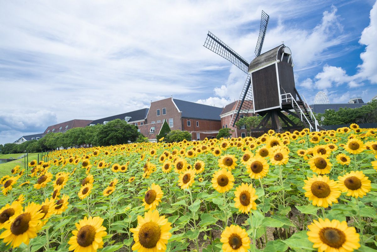 一面のビタミンカラーに元気をもらえそう