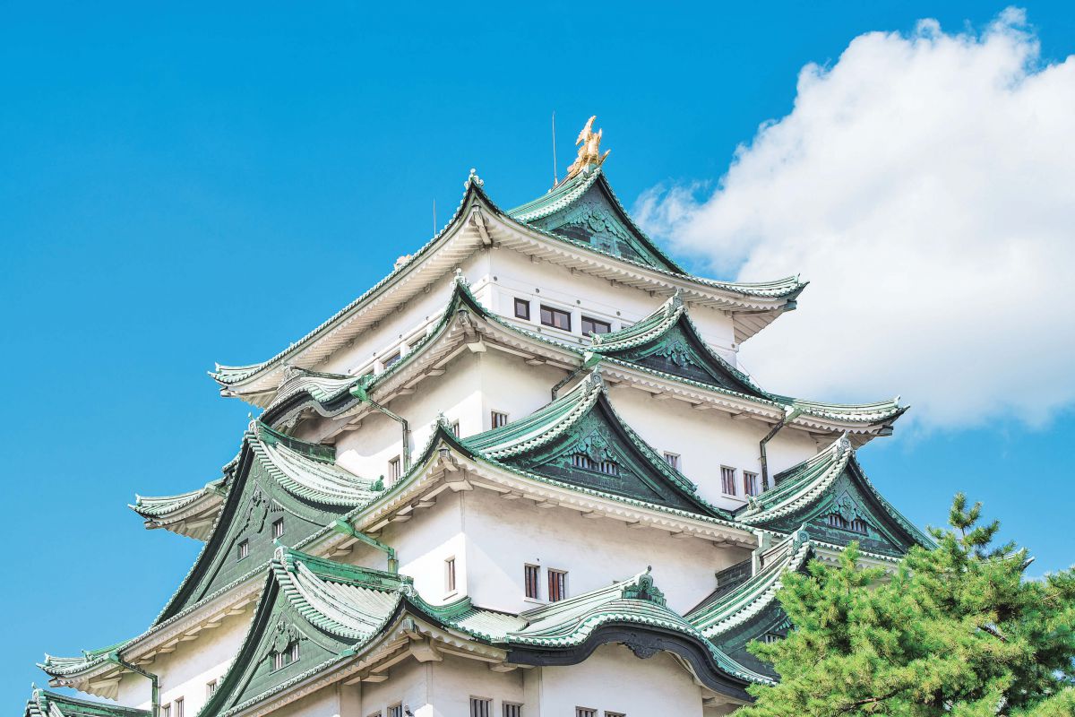 天守閣の内部は見学できないので、外から眺めましょう