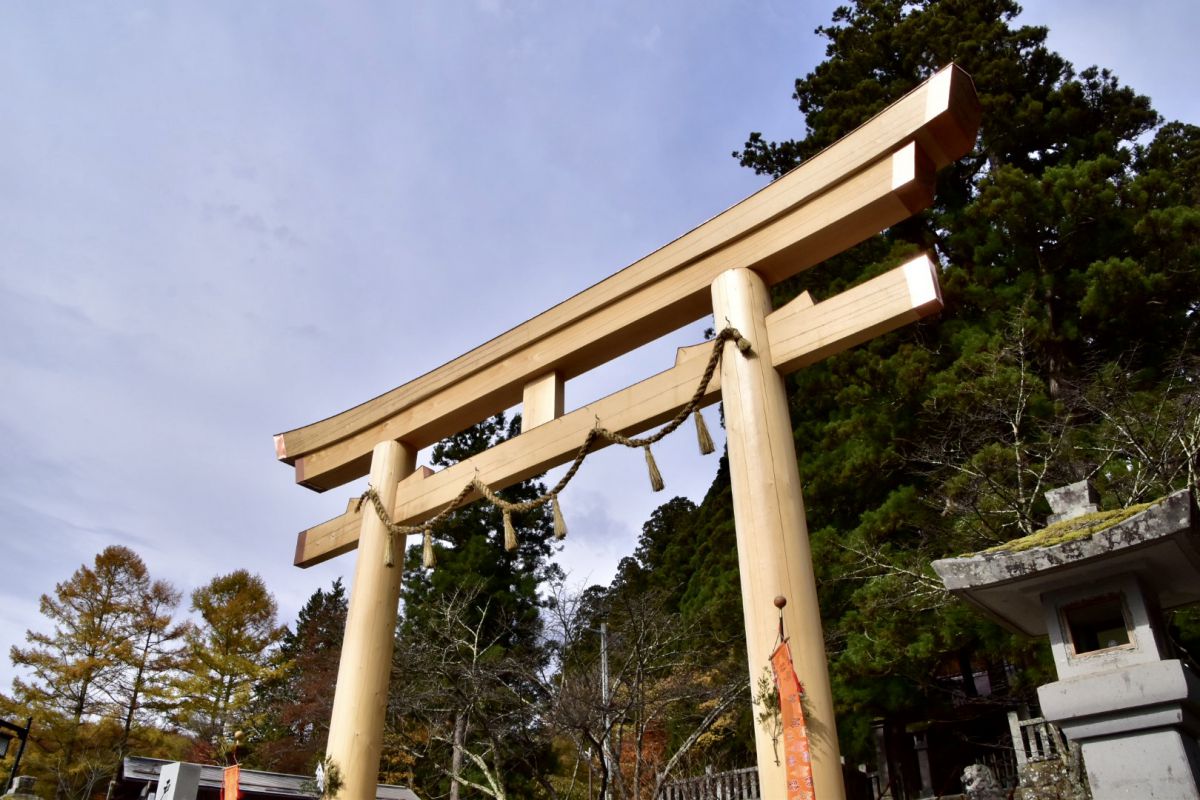 清涼な空気と緑に包まれる。戸隠高原、神秘のパワースポットめぐり