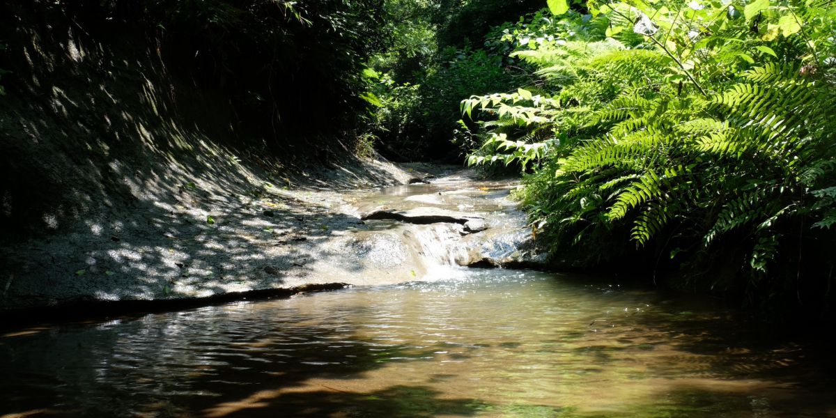 大河ドラマ『鎌倉殿の13人』聖地巡礼！梶原景時ゆかりの梶原太刀洗水