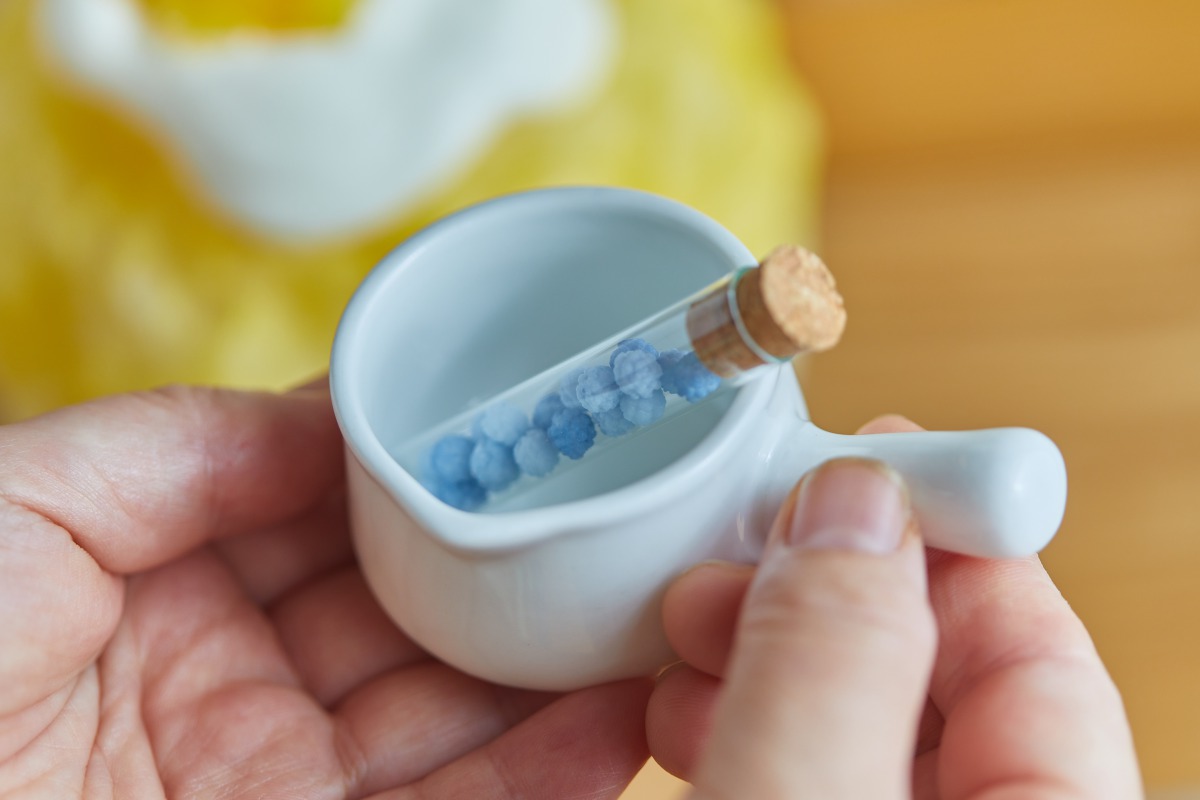 お庭shaveice miracolo