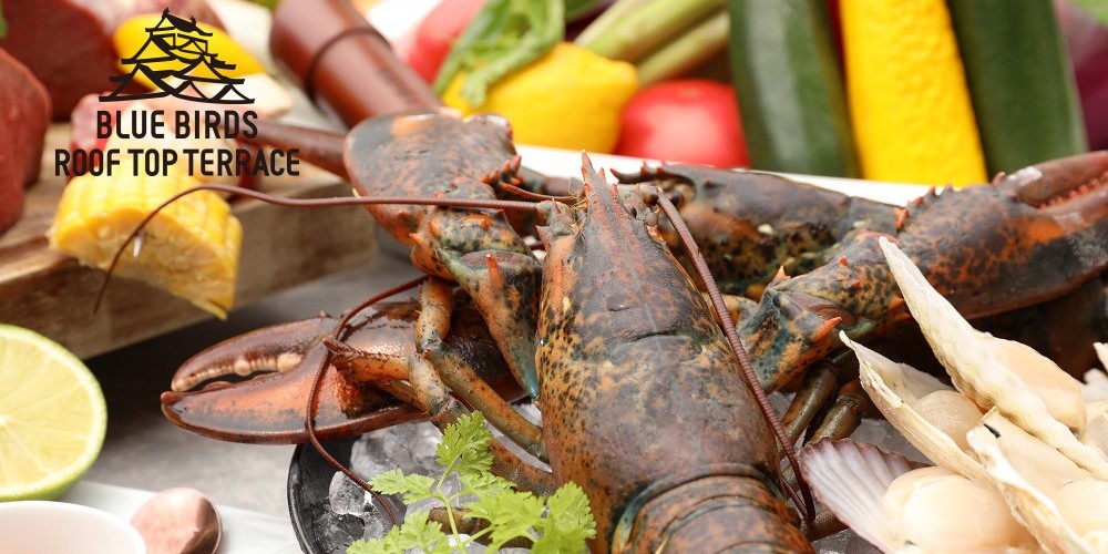 夜の大阪城天守閣を眺めながらぜいたくバーベキュー！オマール海老や近江牛に舌鼓