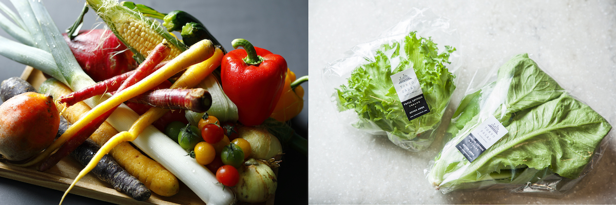 当日届く新鮮野菜を販売 イメージ