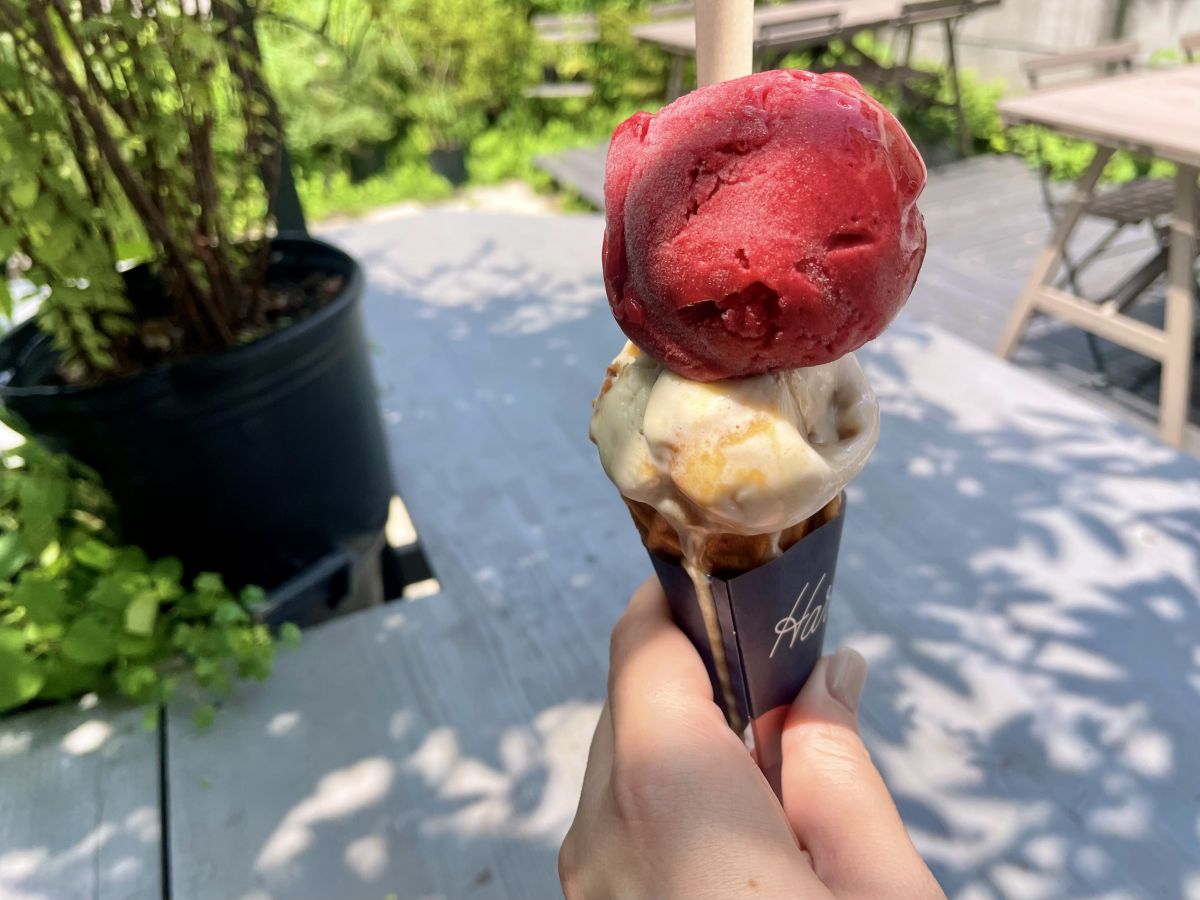 2scoops上「ミックスベリー」、下「ココナッツ＆ソイメープルクッキー」830円＋50円（ヴィーガンコーン）