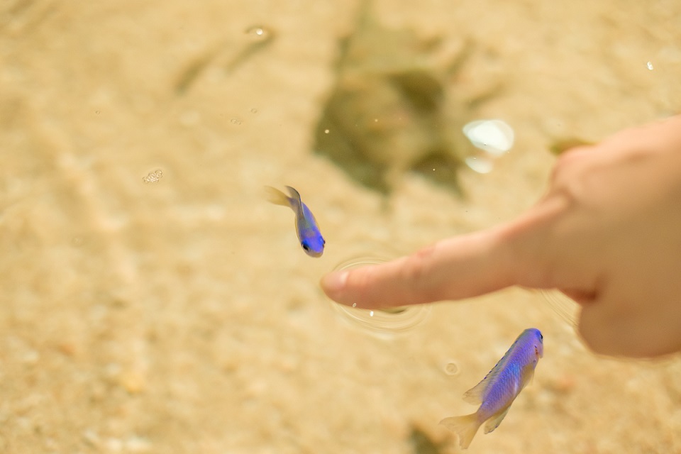 警戒しつつも近寄ってきては指をツンツンしてくれました！