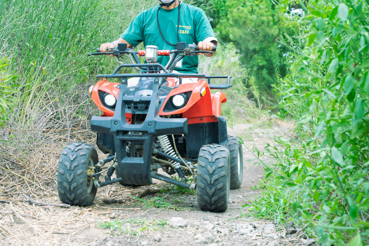 背の高い草の生える道を分け入ったり…冒険感覚！